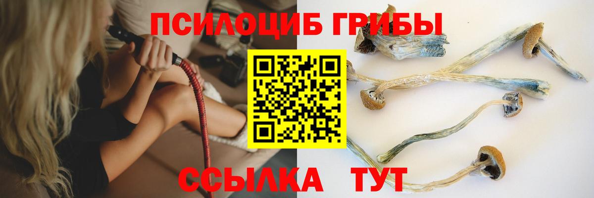 Электросталь  Галлюциногенные грибы мицелий  где продают наркотики  Вход с VPN 